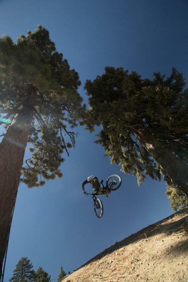 Honey Bear Lodge & Cabins Big Bear Lake Esterno foto