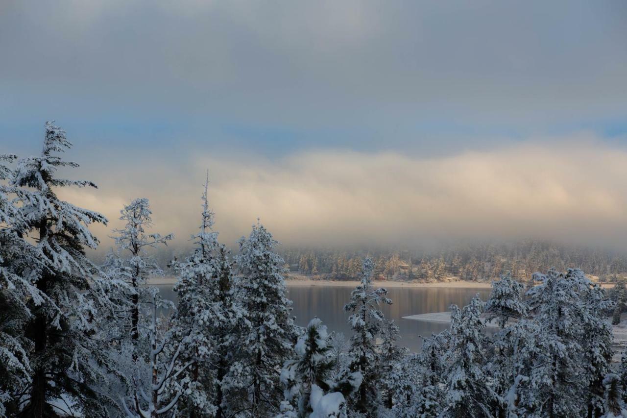 Honey Bear Lodge & Cabins Big Bear Lake Esterno foto