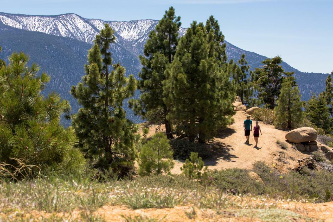 Honey Bear Lodge & Cabins Big Bear Lake Esterno foto