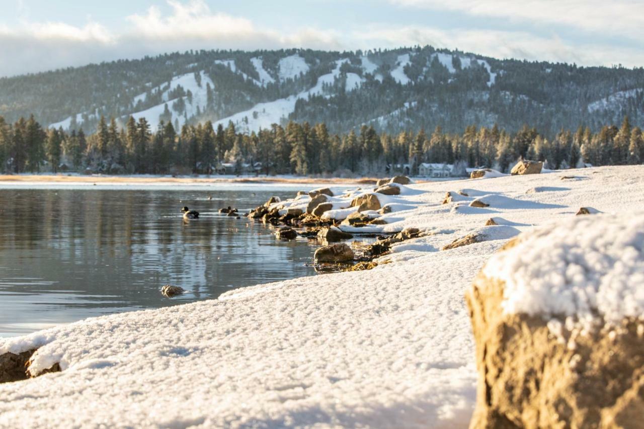 Honey Bear Lodge & Cabins Big Bear Lake Esterno foto
