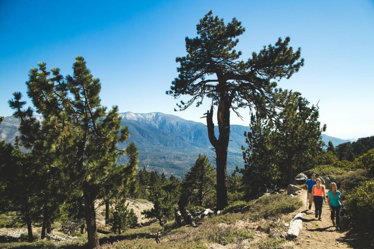 Honey Bear Lodge & Cabins Big Bear Lake Esterno foto